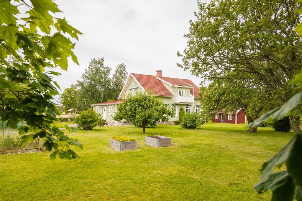 East view of the house